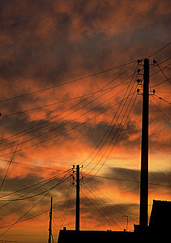 电,杆,剪影,红色天空,日落