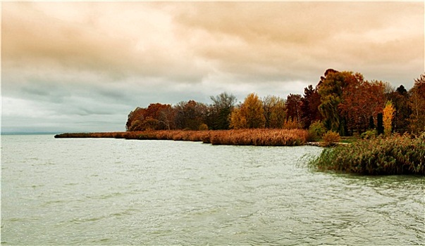 风景,秋天,巴拉顿湖,匈牙利