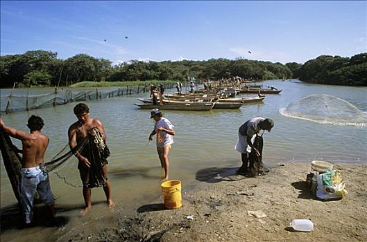 捕鱼者,泻湖,委内瑞拉,南美