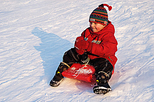 小男孩,雪橇运动