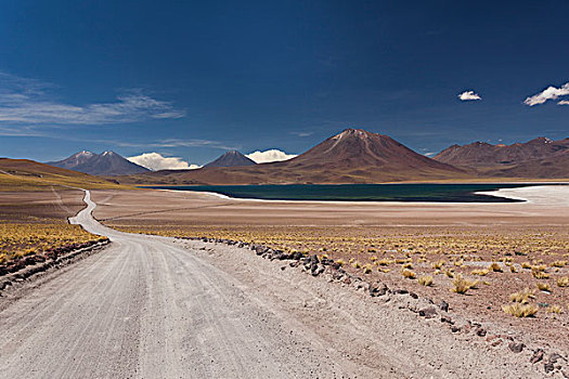 智利,阿塔卡马沙漠,泻湖,沙漠公路