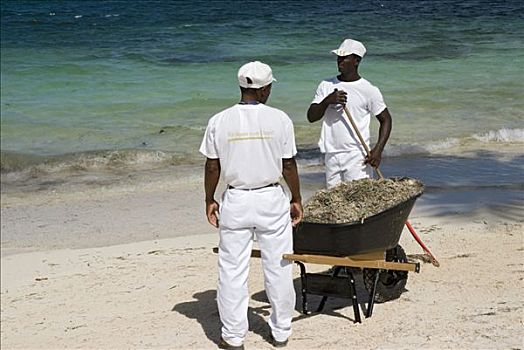 清洁,海滩,蓬塔卡纳,多米尼加共和国,中美洲