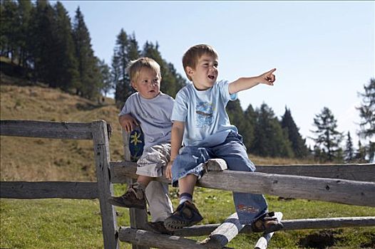 两个男孩,坐,栅栏,卡林西亚,奥地利