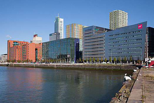 现代,公寓楼,写字楼,鹿特丹,荷兰
