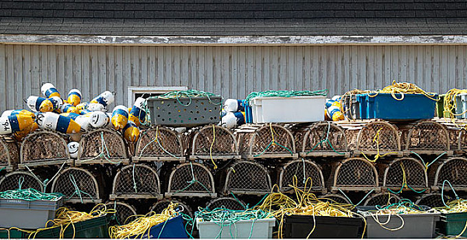 捕虾器,爱德华王子岛,加拿大