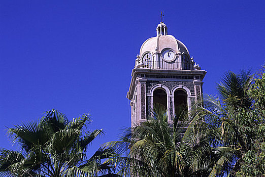 墨西哥,北下加利福尼亚州,洛雷托,耶稣会,教区,棕榈树