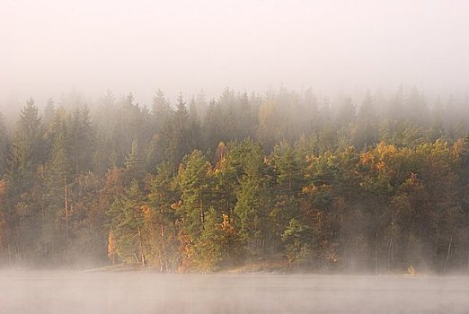 斯堪的纳维亚,瑞典,模糊,湖,秋天
