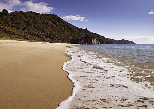 波浪,海滩,新西兰