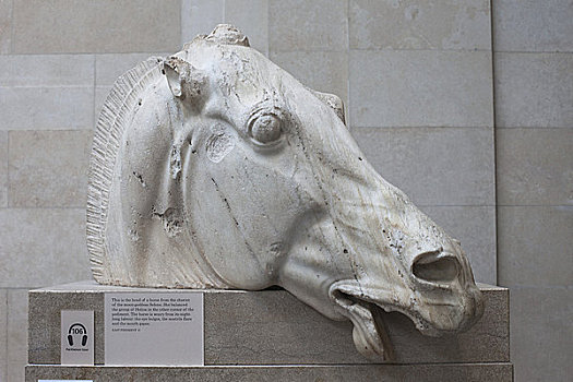 英格兰,伦敦,大英博物馆,帕台农神庙,雅典,展示,头部,马,公元前4世纪