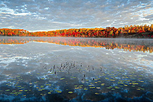 秋天,反射,湖,黎明,安大略省,加拿大