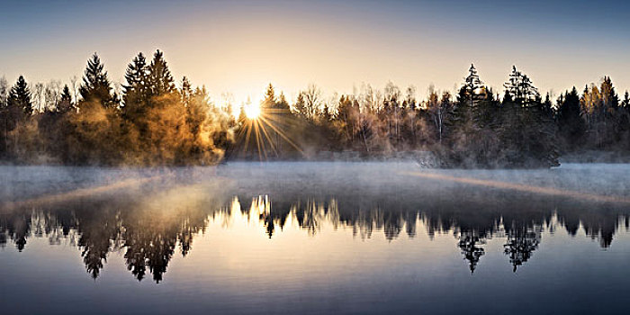 湖,雾,亮光,水,木头,冷杉