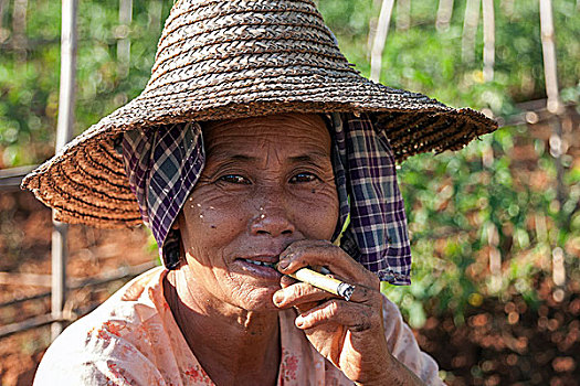 女人,特色,帽子,吸烟,雪茄,头像,茵莱湖,掸邦,缅甸,亚洲