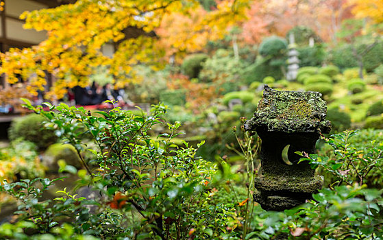 日本寺庙,花园,秋天