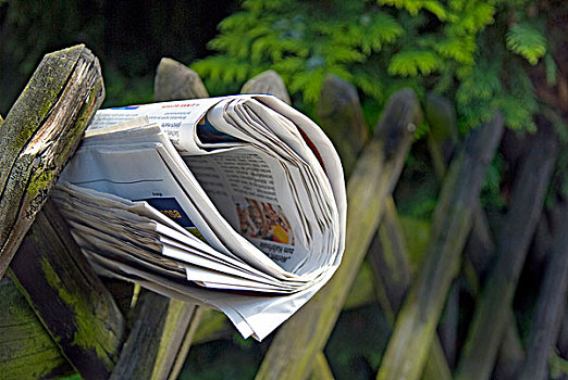 报纸,花园,栅栏