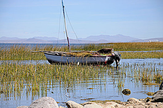 帆船,提提卡卡湖,半岛,秘鲁,南美,拉丁美洲