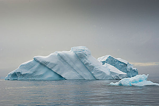 南极,湾,冰山,落下,雪