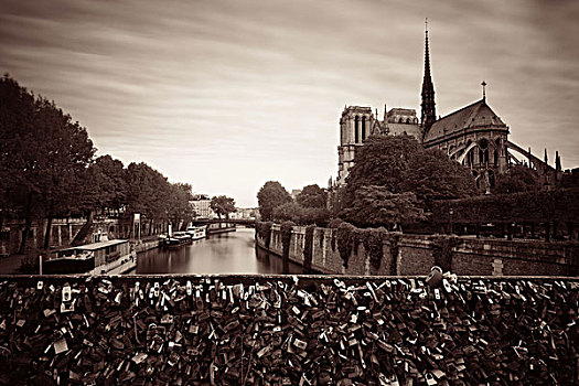 巴黎,塞纳河,巴黎圣母院,大教堂,挂锁,法国