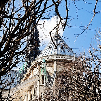 圆顶,巴黎圣母院
