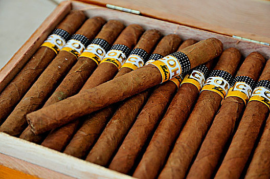 高斯巴雪茄,雪茄,烟草,店,哈瓦那,古巴,加勒比