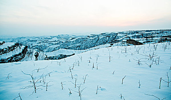 雪景