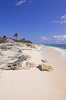 海滩,拉哥岛,古巴