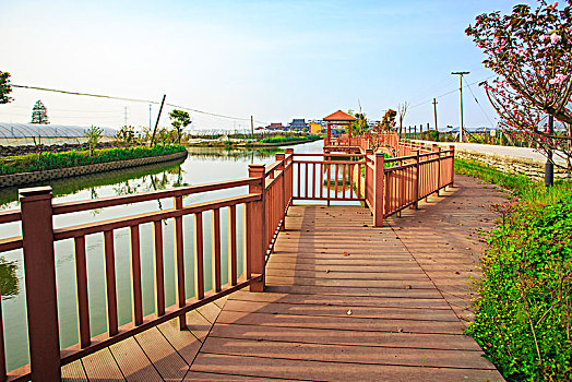 黎山后村,河道,护岸,木桩,栏杆,亭子