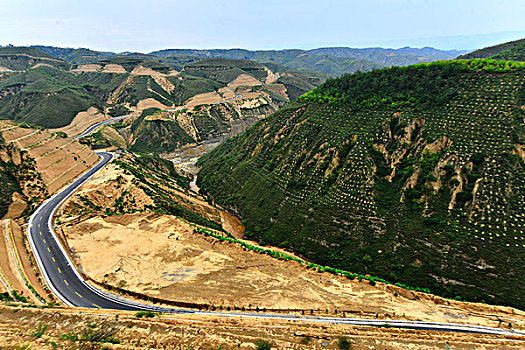 陕西沿黄公路