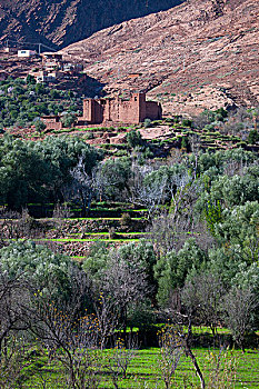 山村,清真寺,阿特拉斯山脉,摩洛哥
