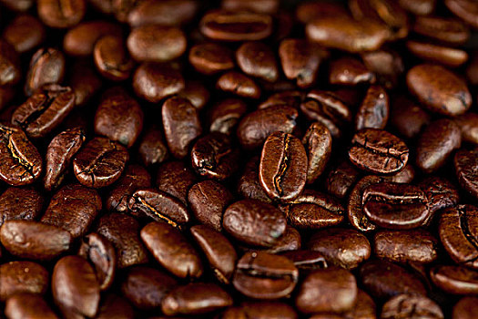 许多,暗色,咖啡,种子,室外,一起