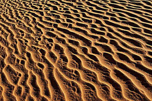 沙子,波纹,纹理,沙丘,撒哈拉沙漠,北非,阿尔及利亚,非洲