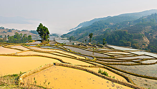 云南省红河州元阳哈尼梯田