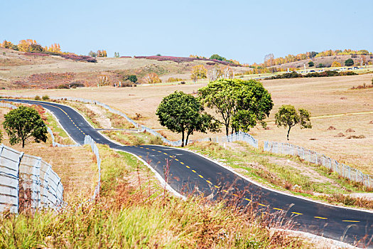 秋季草原公路自然风光,草原天路