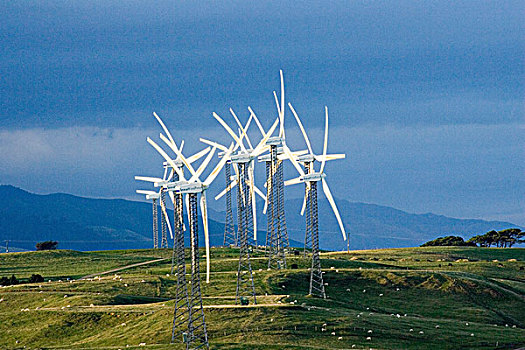 风电场,山脉,靠近,北方,北岛,新西兰