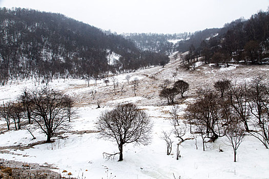 牧场冬雪