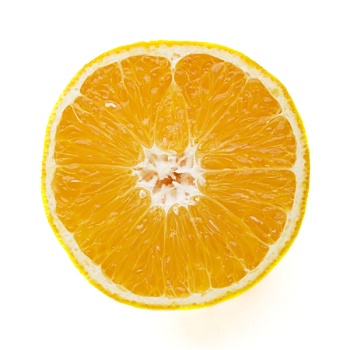 橙子片,特写