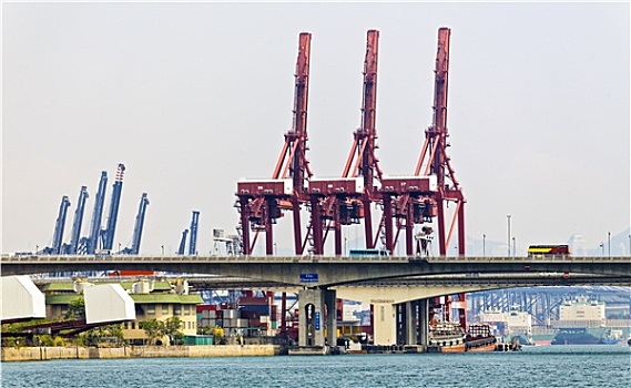 货箱,香港,商业,港口