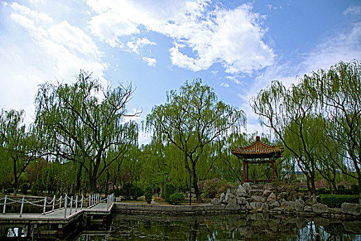 中國古典園林湖泊中的石板橋和涼亭