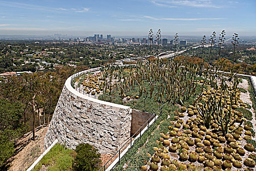 仙人掌,花园,盖蒂中心,洛杉矶,加利福尼亚,美国,北美
