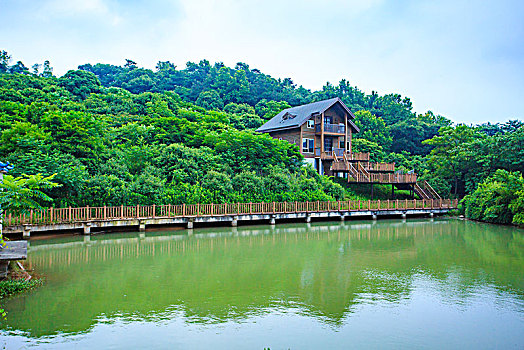 小木屋,水,绿色,山