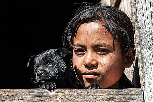 尼泊尔人,女孩,狗,向外看,窗,头像,靠近,尼泊尔,亚洲
