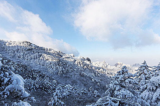 雪景,黄山,山,冬天