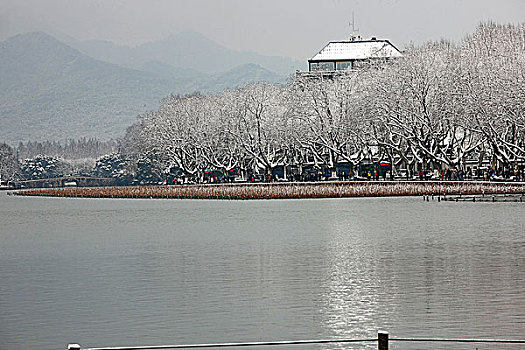 雪后的西湖