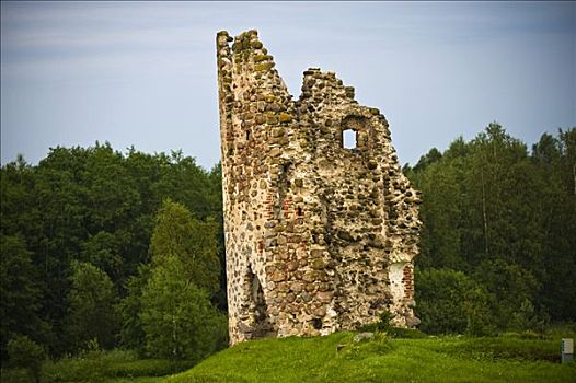 城堡,遗址,爱沙尼亚,波罗的海国家,东北方,欧洲