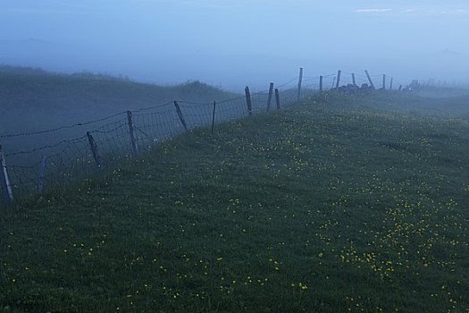 地点,夏天,夜晚,冰岛