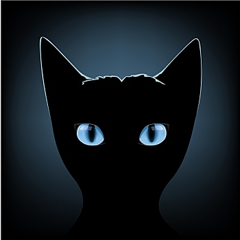 黑猫,蓝眼睛
