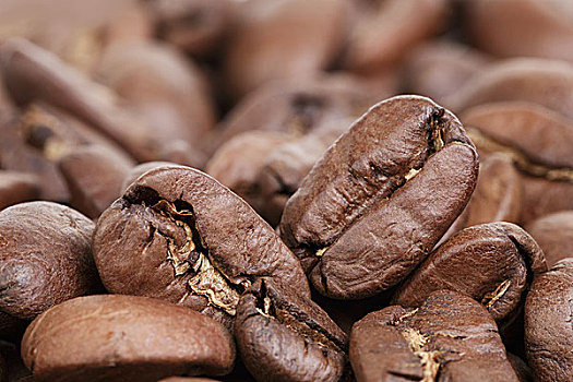 大,阿拉伯咖啡,咖啡豆,特写