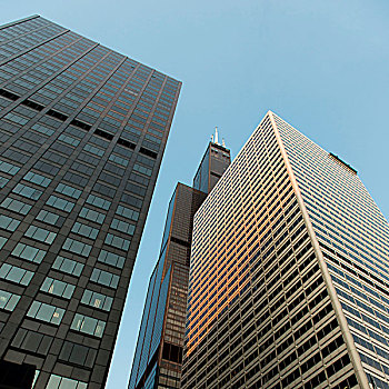仰视,摩天大楼,芝加哥,库克县,伊利诺斯,美国