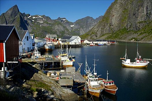 渔船,美景,罗弗敦群岛,挪威