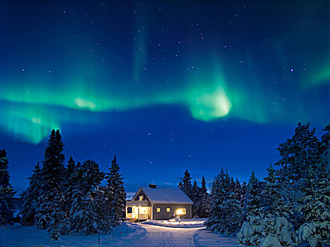 北极光,空中,夜晚,瑞典