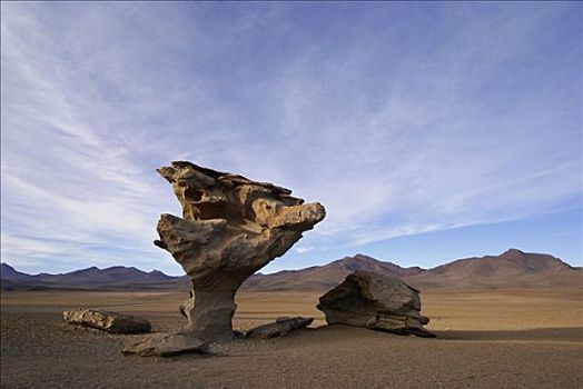 怪诞,石头,形状,乌尤尼,高地,玻利维亚